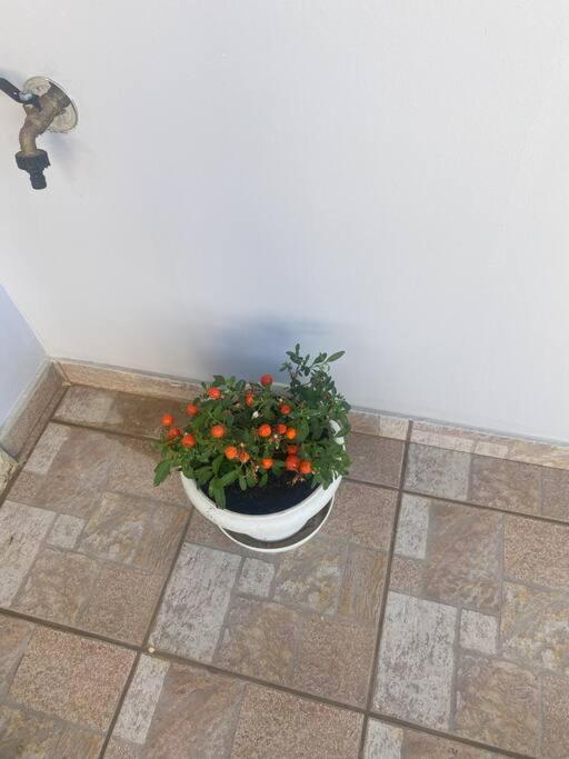 New Lovely Apartment In Heraklion Esterno foto